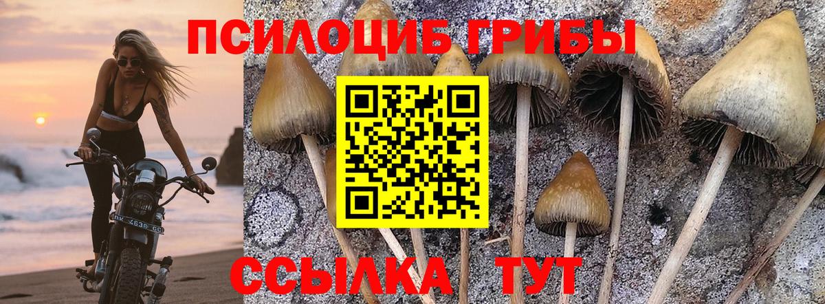 Тайшет  Галлюциногенные грибы мухоморы  Вход с VPN 