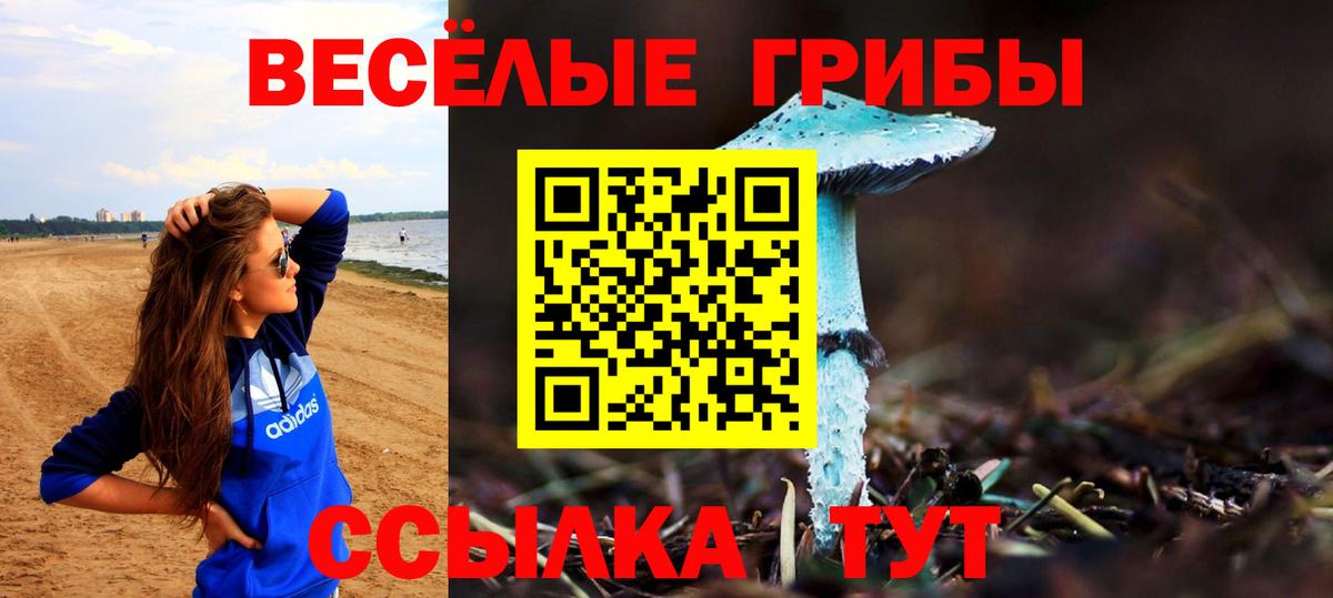 Галлюциногенные грибы ЛСД Тайшет
